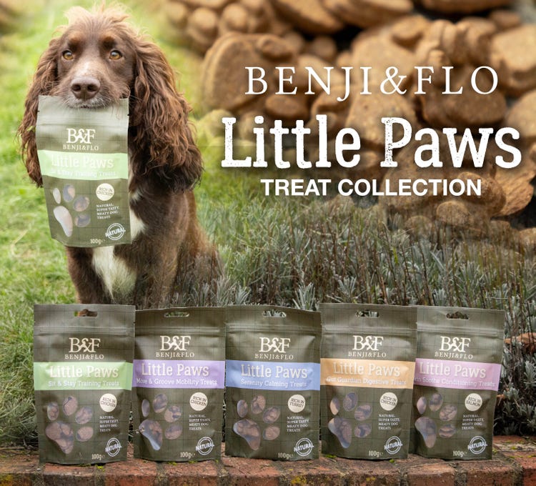 B&F - Dog Treats